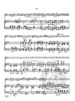 Ecnamor (Romance) von David Uber 