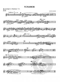 Ecnamor (Romance) von David Uber 