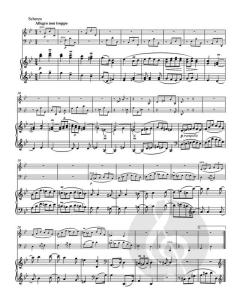 Trio von Johannes Brahms 