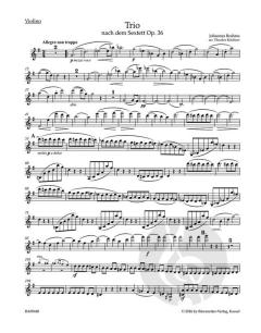 Trio von Johannes Brahms 