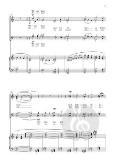 Straße der Zuflucht von Errollyn Wallen (Download) 