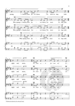 This night to us a child is born von Annabel Rooney 