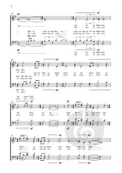 Mein Gott ist da von Will Todd (Download) 