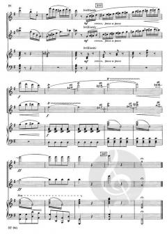 Duettino von Franz Doppler 