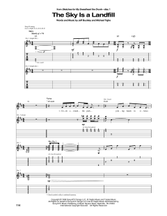 The Sky Is A Landfill von Jeff Buckley (Download) 