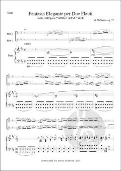 Fantasia elegante dall'Opera 'Stiffelio' op. 57 von Giuseppe Rabboni 