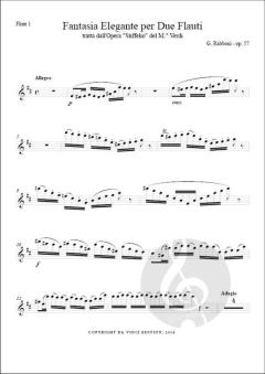 Fantasia elegante dall'Opera 'Stiffelio' op. 57 von Giuseppe Rabboni 