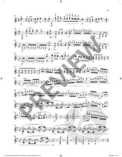 Sheila M. Nelson's Romantic Violinist 