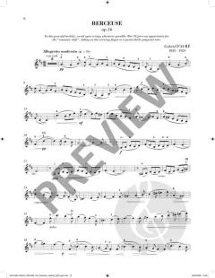 Sheila M. Nelson's Romantic Violinist 