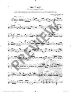 Sheila M. Nelson's Romantic Violinist 