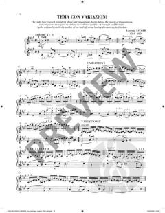 Sheila M. Nelson's Romantic Violinist 