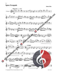14 Studies in Duet Form von James Rae 