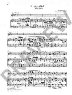 Sämtliche Lieder mit Klavierbegleitung Band 1 von Hans Pfitzner 