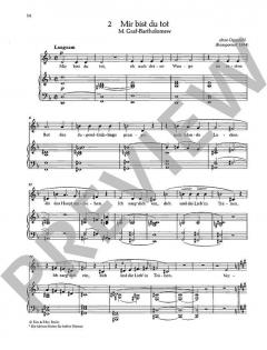 Sämtliche Lieder mit Klavierbegleitung Band 1 von Hans Pfitzner 