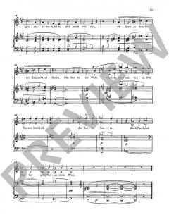 Sämtliche Lieder mit Klavierbegleitung Band 1 von Hans Pfitzner 