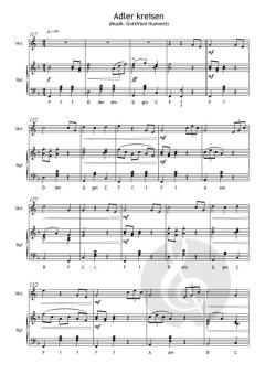 Alphorn Piccolinis 2 von Gottfried Hummel 