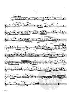 Concerto in C Minor von Benedetto Marcello 