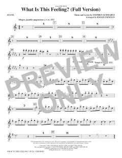 What Is This Feeling? (Full Version) von Stephen Schwartz (Download) 