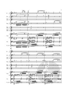 Symphonie Nr. 2 op. 36 von Ludwig van Beethoven 