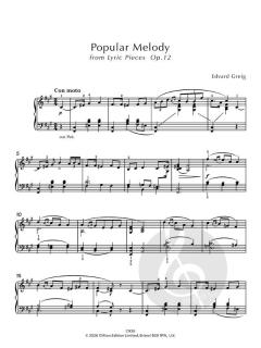 More Essential Piano Repertoire Grade 6 von Johann Sebastian Bach 