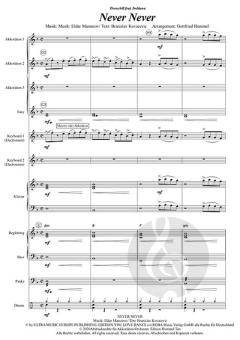 Never, Never von Indiiana (Download) 