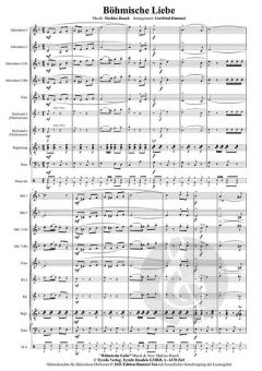 Böhmische Liebe von Mathias Rauch 