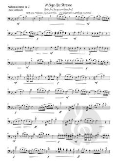 Möge die Straße (Irische Segenswünsche) von Markus Pytlik (Download) 