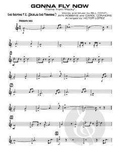 Gonna Fly Now von Bill Conti (Download) 