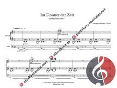 Im Donner der Zeit von Dorothea Hofmann 