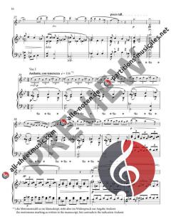 Sonate in c-Moll von Herz, Maria 