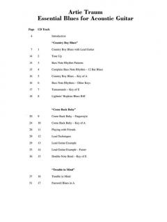 Artie Traum Teaches Essential Blues For Acoustic Guitar von Artie Traum 