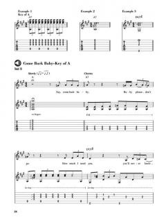 Artie Traum Teaches Essential Blues For Acoustic Guitar von Artie Traum 