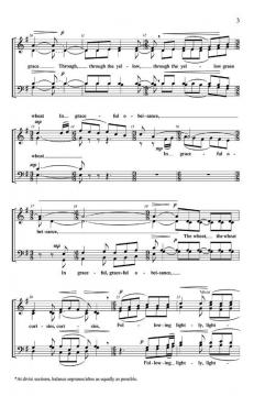 The Wind In The Wheat (Edwin Fissinger) 