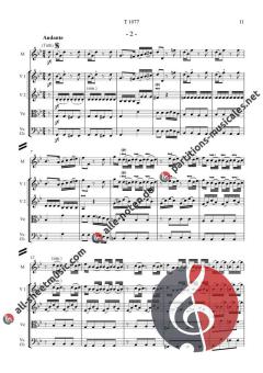 Konzert D-Dur von Nicola Conforto 