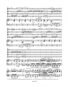 Sinfonia concertante in Es von Wolfgang Amadeus Mozart für Oboe, Klarinette, Horn, Fagott und Orchester im Alle Noten Shop kaufen