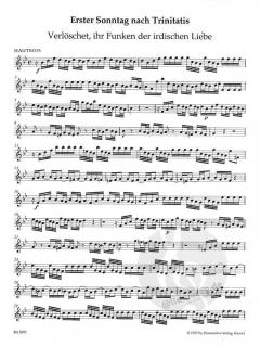 Harmonischer Gottesdienst: Kantaten aus der Trinitatiszeit (Georg Philipp Telemann) 