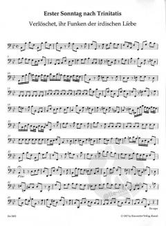 Harmonischer Gottesdienst: Kantaten aus der Trinitatiszeit (Georg Philipp Telemann) 