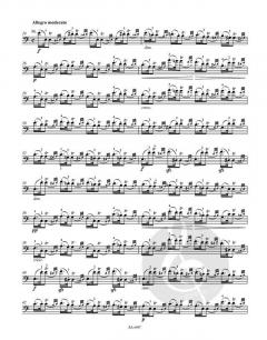 Technologie des Violoncellospiels von Friedrich Grützmacher im Alle Noten Shop kaufen