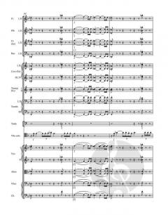 Konzert in d für Violoncello und Orchester von Edouard Lalo 