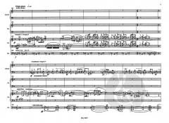 Feuertaufe von Zsigmond Szathmary 