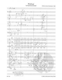 Pollux von Andrea Lorenzo Scartazzini 