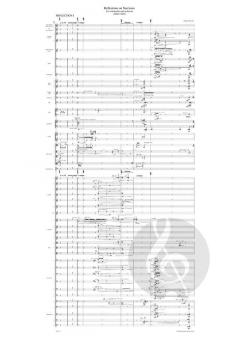 Reflections on Narcissus for Violoncello and Orchestra von Matthias Pintscher 