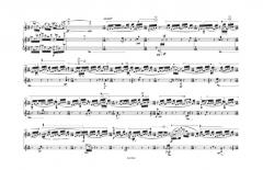 presto von Beat Furrer 