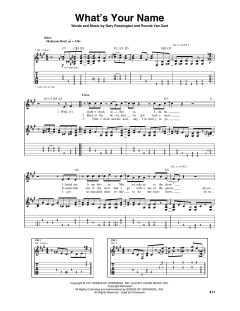 What's Your Name von Lynyrd Skynyrd (Download) 