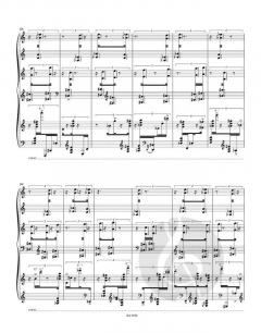 Phasma von Beat Furrer 