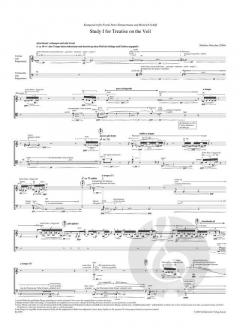 Study I for treatise on the veil Violine, Violoncello von Matthias Pintscher 
