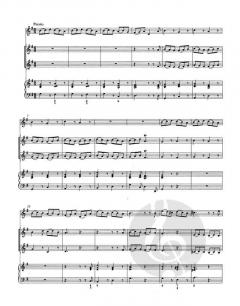 Konzert in G-Dur für Violine und Orchester (Georg Philipp Telemann) 