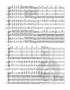 Le nozze di Figaro / Die Hochzeit des Figaro von Wolfgang Amadeus Mozart 