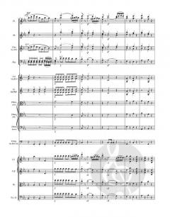 Die Zauberflöte von Wolfgang Amadeus Mozart 