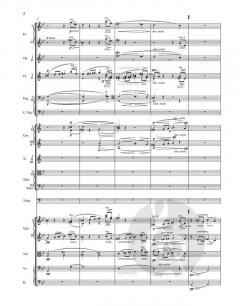 Enigma Variationen op. 36 von Edward Elgar 
